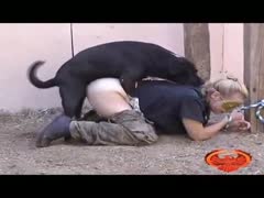 An infirm, lustful white wife is shown in a scene from the sex film Insane Beastiality in shackles that are installed and fastened by a K9